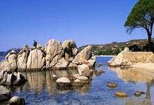 起名大师未命名